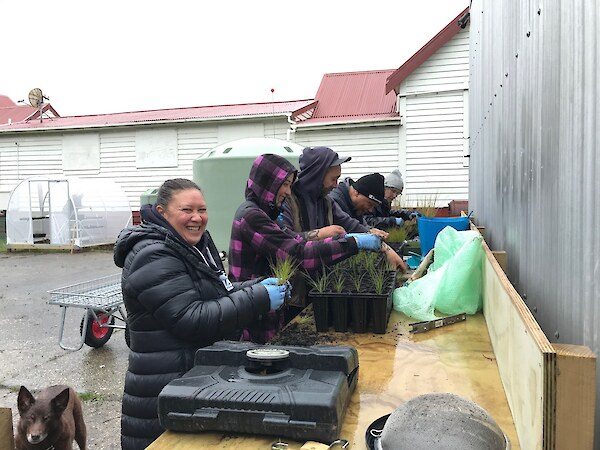 Misty, Keeti-Moana, Shannon, Mark and Sara potting on purei | Carex secta seedlings