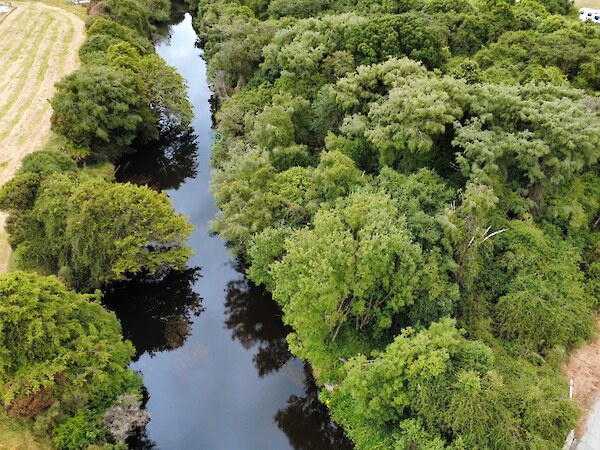 Waikawa River below Niagara Bridge. Photo: Robin Sallis
