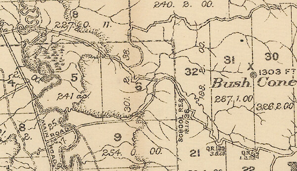 Bush Cone and the Waikawa River (1929)