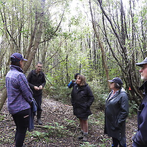 Standing beneath the canopy of planted trees which are now starting to compete with each other and thin out, enabling a natural understorey to develop. Photo: Jesse Bythell