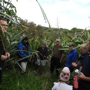 Standing in young forest created by planting harakeke | flax at low densities and letting the birds do the rest! Photo: Jesse Bythell